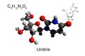 Chemical formula, skeletal formula, and 3D ball-and-stick model of nucleoside uridine, white background