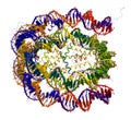 Nucleosome core particle structure