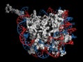 Nucleosome, 3D illustration.