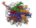 Nucleosome, molecular model.