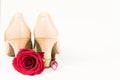 Nude colored high heels still life Royalty Free Stock Photo