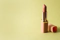 Nude matte lipstick with a cap on a pastel green background. Female accessory for lip makeup. Professional cosmetic product for Royalty Free Stock Photo