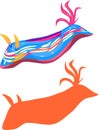 Nudibranch