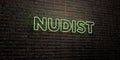 NUDIST -Realistic Neon Sign on Brick Wall background - 3D rendered royalty free stock image