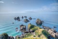 The nuggets - rocky islets at Nugget point in New Zealand