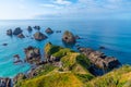 The nuggets - rocky islets at Nugget point in New Zealand