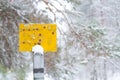 A null pointer in a forest in winter
