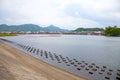 Numazu Estuary Royalty Free Stock Photo