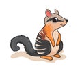 Numbat Cartoon Australian Animals Illustration