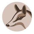 Numbat face , vector illustration, flat style