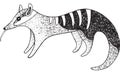 Numbat - graphic ink art. Illustration of australian animal