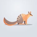 Numbat icon cute cartoon wild animal symbol with shadow wildlife species fauna concept flat