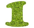 Number 1 - Artificial green grass background. Top view