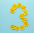 Number 3 on a blue background from yellow bright spring flowers. Children`s age, baby month, symbol of flowers