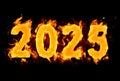 2025 number burning text Royalty Free Stock Photo