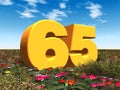 The Number 65 Royalty Free Stock Photo