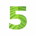 Number digit five - Tropical green leaf texture