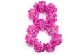 The number eight from flowers Royalty Free Stock Photo