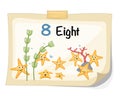 Number eight starfish vector Royalty Free Stock Photo