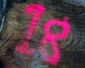 Number Eighteen in Pink Spray Paint on Tree Trunk