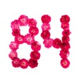 Number 84 from flowers of a red and pink rose on a white background. Typographic element for design. Royalty Free Stock Photo