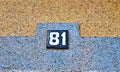 81 number eighty-onewhite on blue