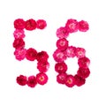 Number 56 from flowers of a red and pink rose on a white background. Typographic element for design.