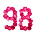 Number 98 from flowers of a red and pink rose on a white background. Typographic element for design.