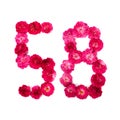 Number 58 from flowers of a red and pink rose on a white background. Typographic element for design.