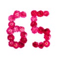 Number 65 from flowers of a red and pink rose on a white background. Typographic element for design. Royalty Free Stock Photo