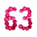 Number 63 from flowers of a red and pink rose on a white background. Typographic element for design. Royalty Free Stock Photo