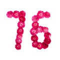 Number 76 from flowers of a red and pink rose on a white background. Typographic element for design. Royalty Free Stock Photo