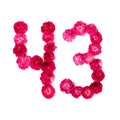 Number 43 from flowers of a red and pink rose on a white background. Typographical element for designtwenty twotwenty four1 Royalty Free Stock Photo