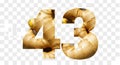 The number forty three formed from textured ginger root isolated on white background Royalty Free Stock Photo