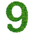 Number 9 of the grass Royalty Free Stock Photo