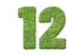 12 number in green grass filled the character . Isolated from a white background