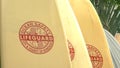 A number of lifeguard rescue surfboards at waikiki