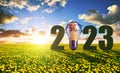 The number 2023 and light bulb with euro banknotes in dandelions field at sunset.