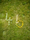 Number 46 made from clothes pegs lying on the lawn Royalty Free Stock Photo