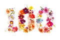 Number 100 Made of Colorful Flowers Isolated Royalty Free Stock Photo