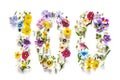 Number 100 Made of Colorful Flowers Isolated Royalty Free Stock Photo