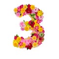 Number 1 made from flower isolated on white background. Whit clipping path