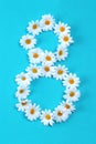 Number 8 made of flowers. International Womens Day 8 March. March holiday.