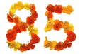 number 85 made of fresh, just picked, real flowers Royalty Free Stock Photo