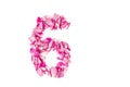 number 6 made from pink petals rose. Pink roses. Element for decoration. Royalty Free Stock Photo