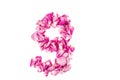 number 9 made from pink petals rose. Pink roses. Element for decoration. Royalty Free Stock Photo