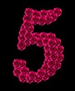 number 5 made of pink roses Royalty Free Stock Photo