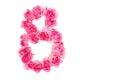 Number 8 made of pink roses on a white isolated background. View from above. Element for decoration. Copy space Royalty Free Stock Photo