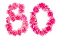 Number 80 made of pink roses on a white isolated background. View from above. Element for decoration. Copy space Royalty Free Stock Photo