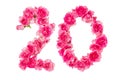 Number 20 made from pink roses on a white isolated background.Element for decoration. Anniversary, holiday Royalty Free Stock Photo